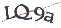 Identifying code
