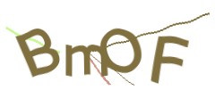 Identifying code
