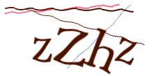 Identifying code