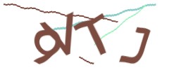 Identifying code