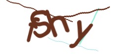 Identifying code