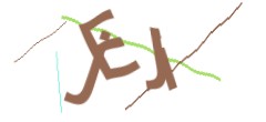 Identifying code