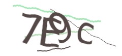 Identifying code