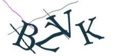 Identifying code