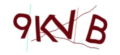 Identifying code