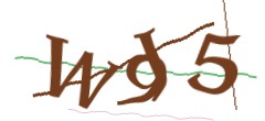 Identifying code