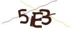 Identifying code