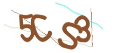 Identifying code