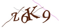 Identifying code