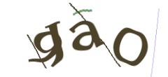 Identifying code