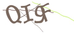 Identifying code