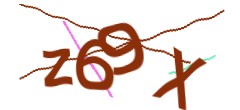 Identifying code