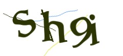 Identifying code