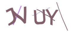 Identifying code