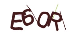 Identifying code