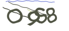 Identifying code