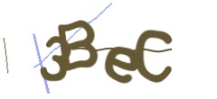 Identifying code