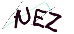 Identifying code