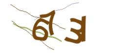 Identifying code