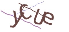 Identifying code