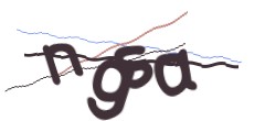 Identifying code
