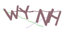 Identifying code