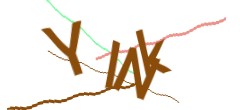Identifying code