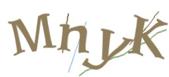 Identifying code