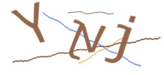 Identifying code
