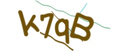 Identifying code