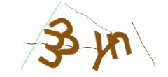 Identifying code