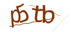 Identifying code
