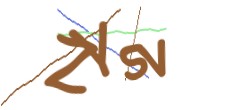 Identifying code