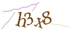Identifying code
