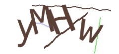 Identifying code