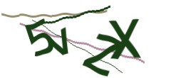 Identifying code