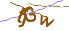 Identifying code