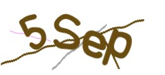 Identifying code