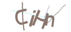 Identifying code