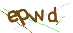 Identifying code