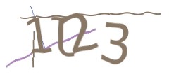 Identifying code