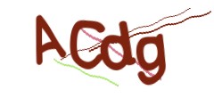 Identifying code