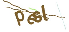 Identifying code