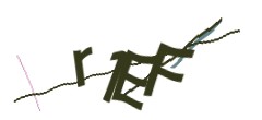 Identifying code
