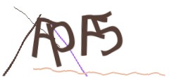 Identifying code