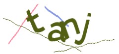 Identifying code
