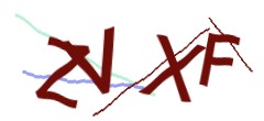 Identifying code