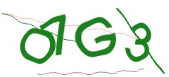 Identifying code