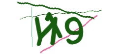 Identifying code