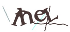 Identifying code